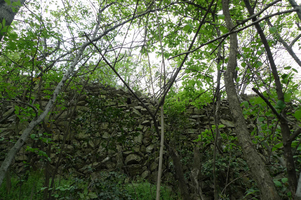p1080577.jpg