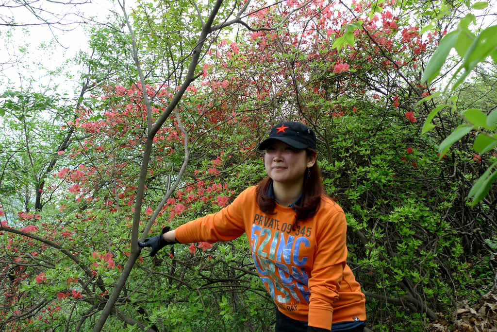 p1080584.jpg