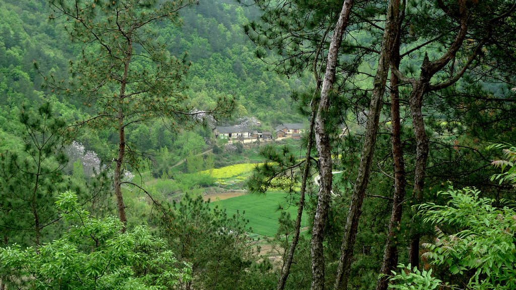 p1080595.jpg