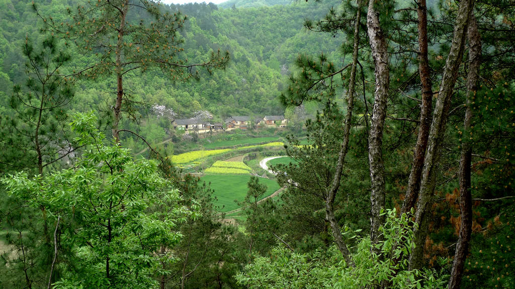 p1080597.jpg