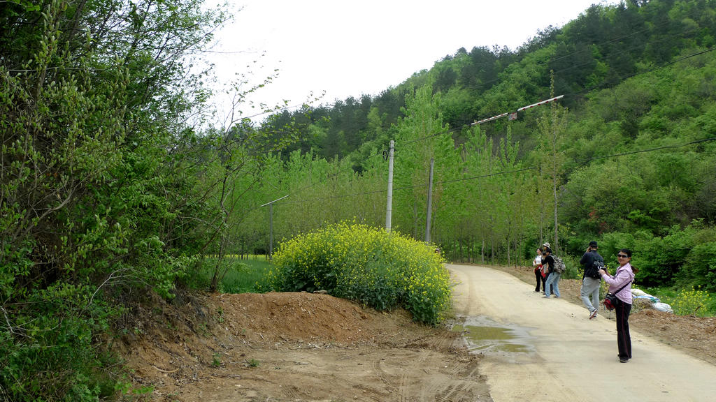 p1080598.jpg