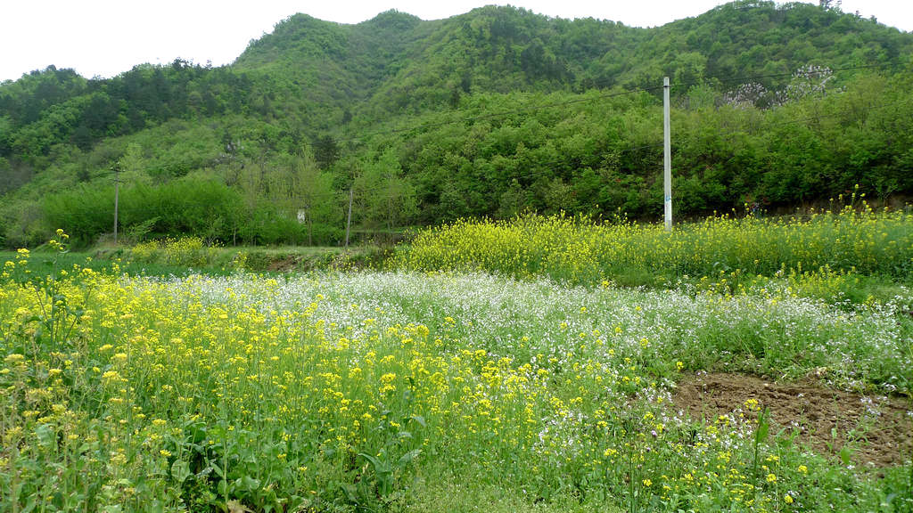 p1080599.jpg