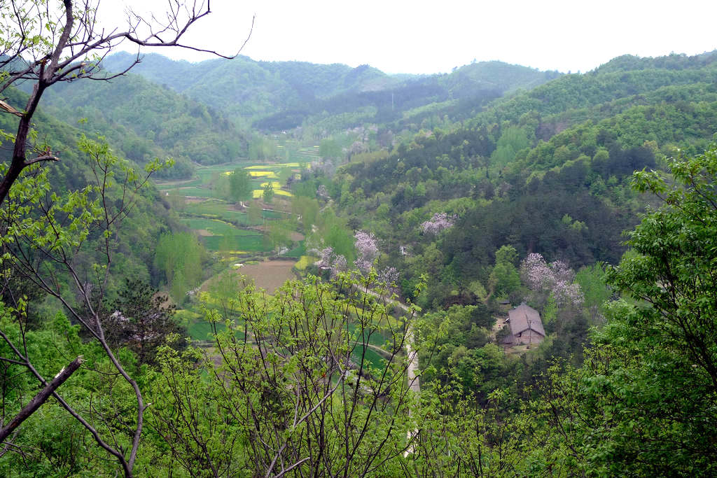 p1080615.jpg