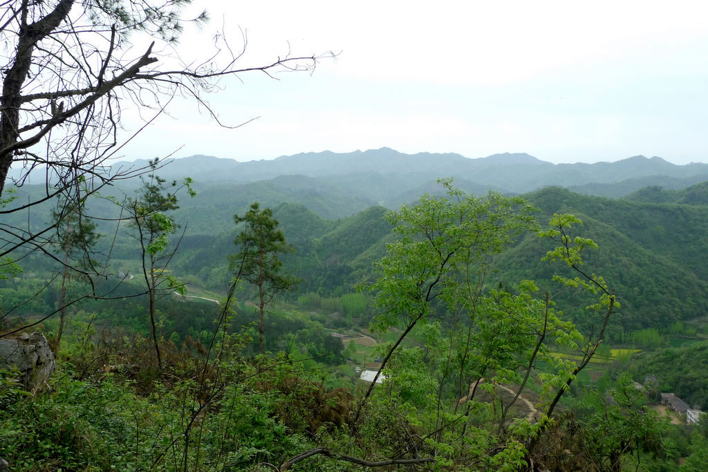 p1080621.jpg