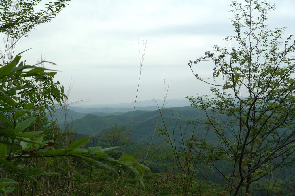p1080623.jpg