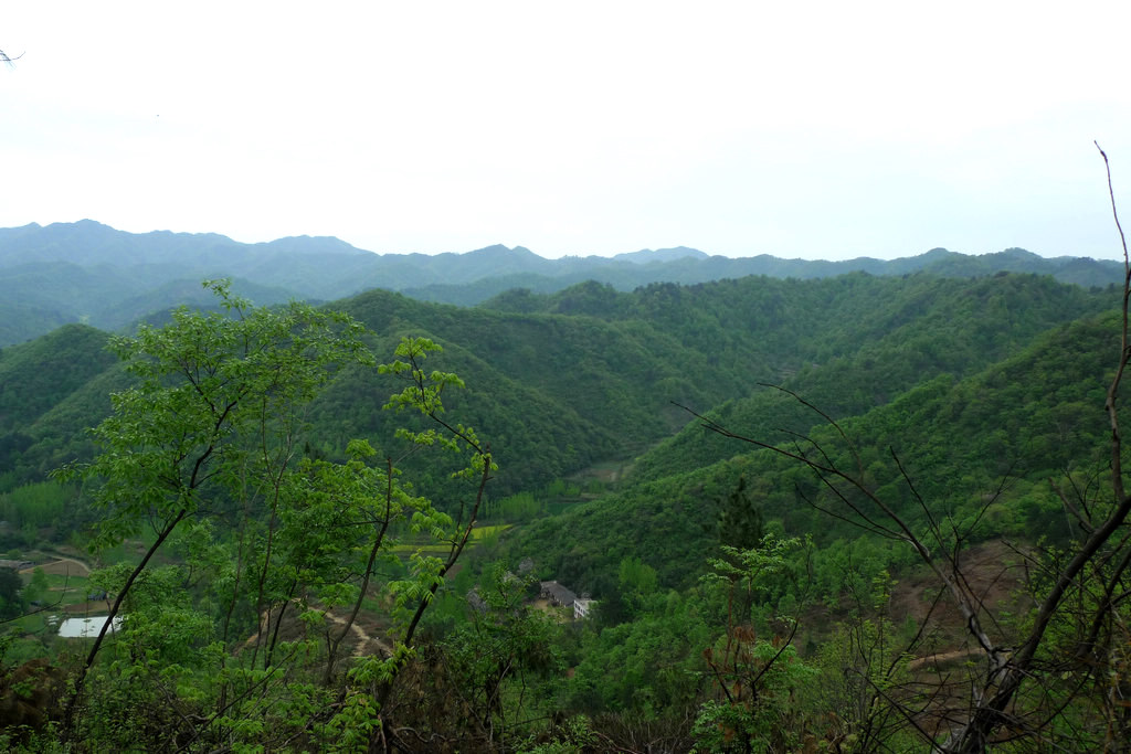 p1080620.jpg