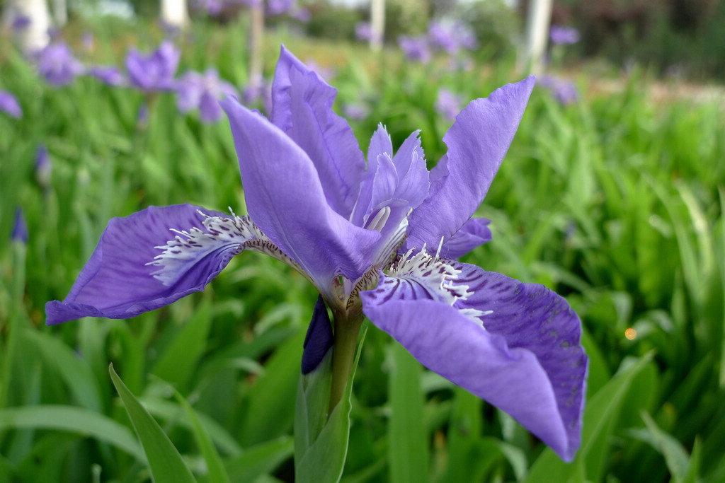 p1080714.jpg