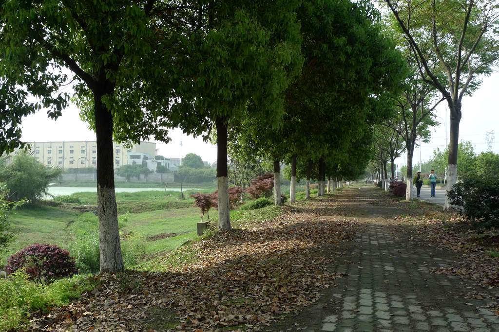 p1080739.jpg