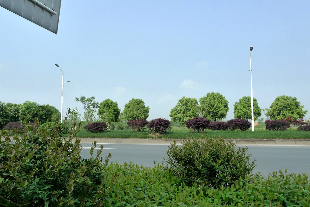 p1080744.jpg