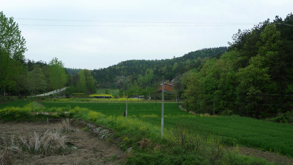 p1080644.jpg