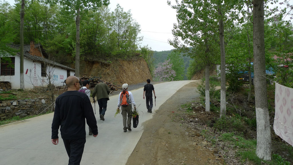 p1080648.jpg