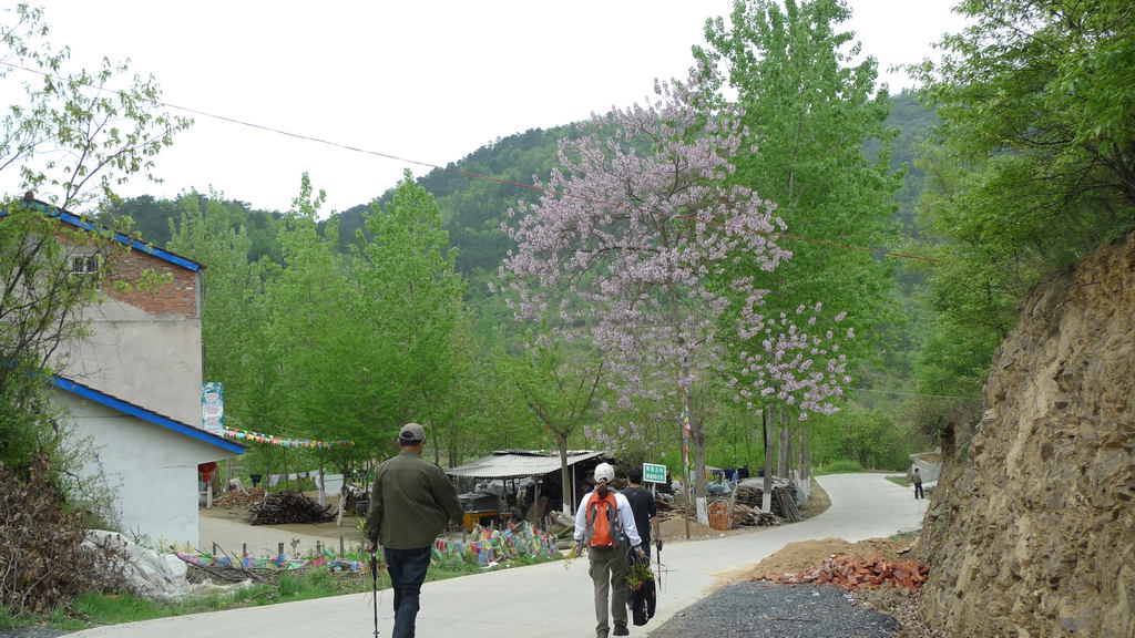 p1080650.jpg
