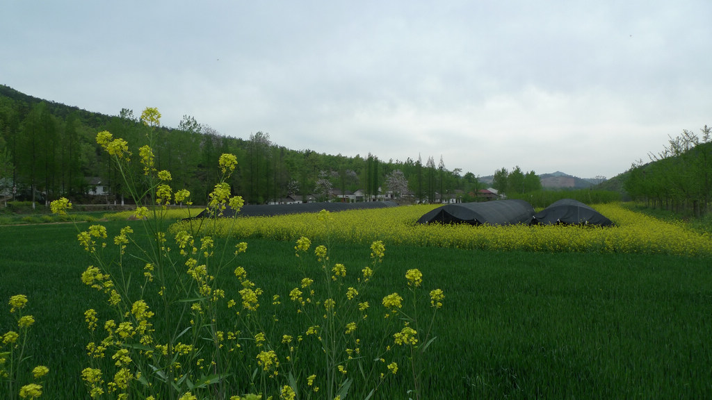 p1080657.jpg