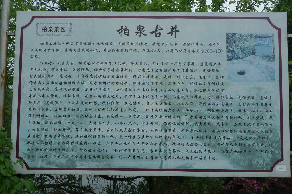 p1080825.jpg