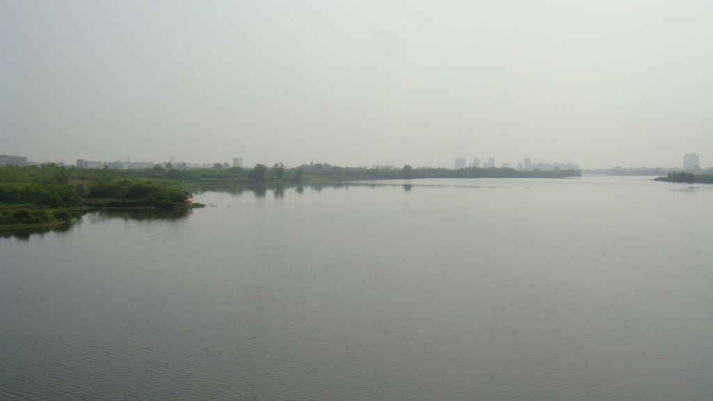 dsc00590.jpg