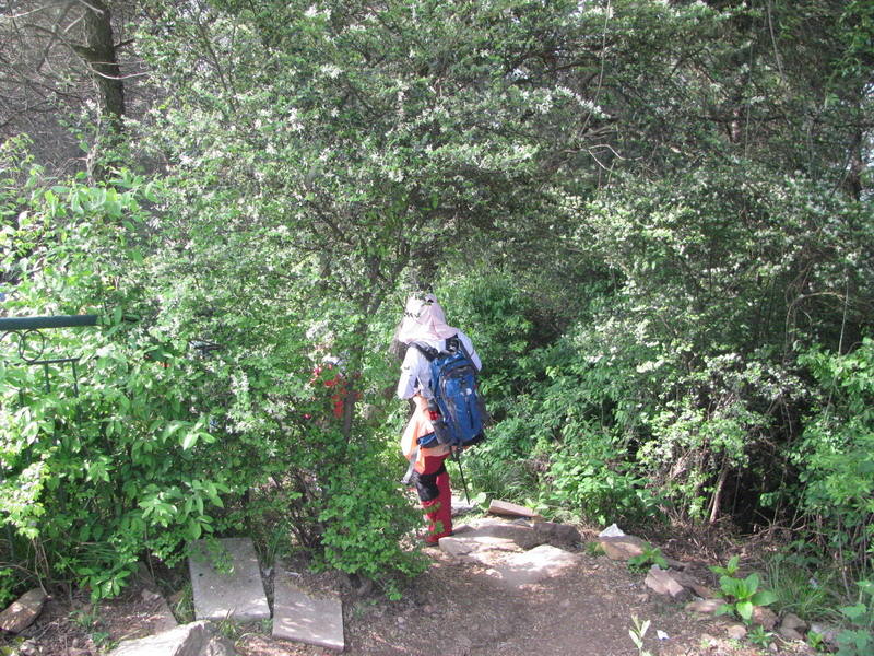 img_3846_СС.jpg