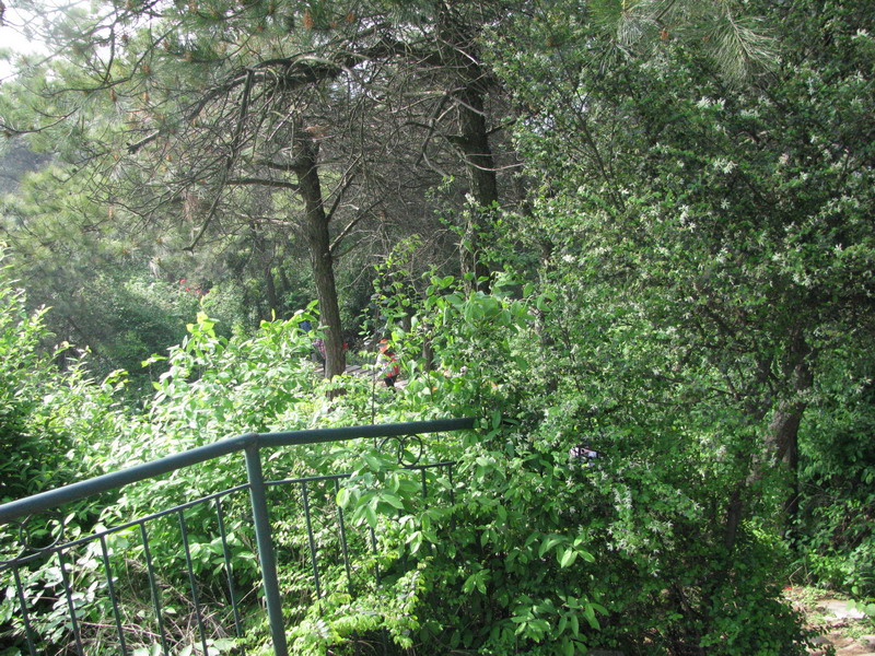 img_3847_СС.jpg