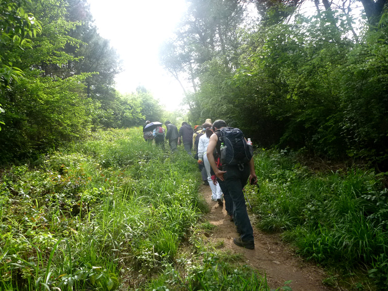 p1110334_.jpg