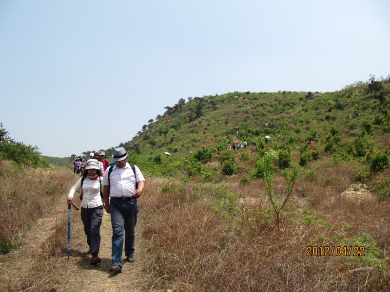img_6579.jpg