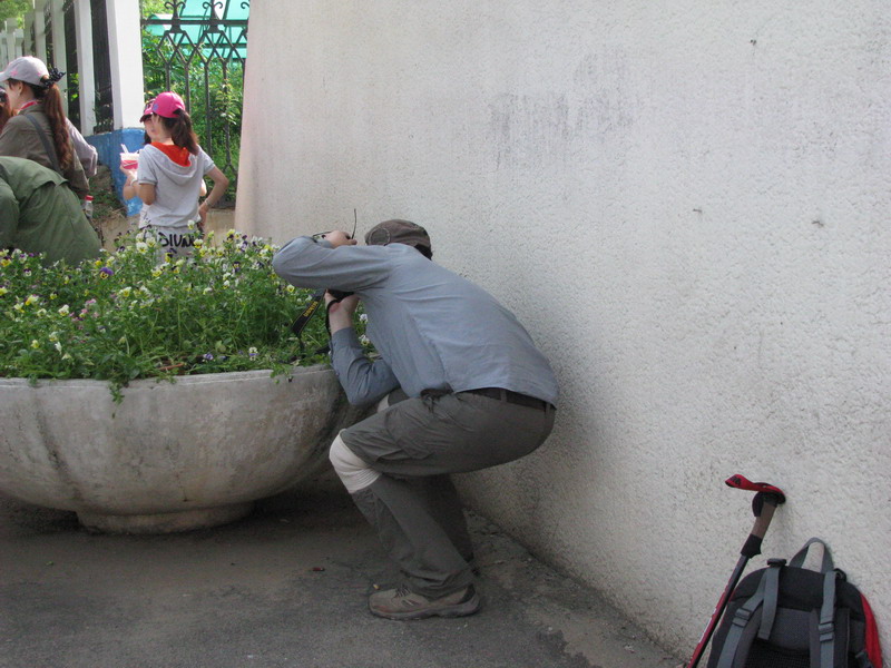 img_3838_СС.jpg