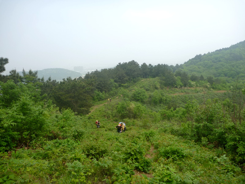 p1110345_.jpg