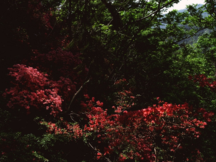 _sam0311_.jpg
