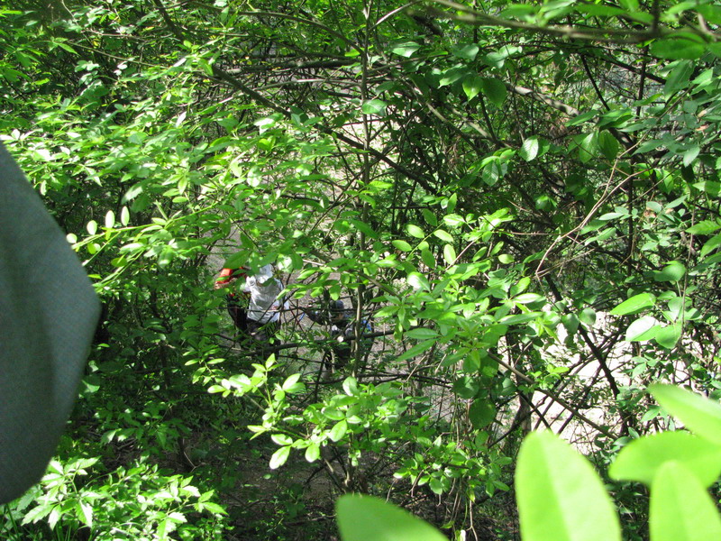 img_3875_СС.jpg
