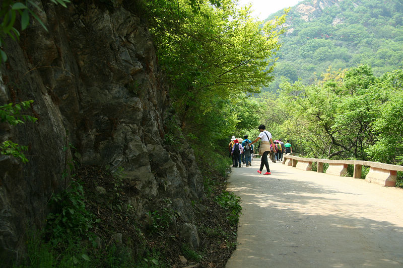 img_2630.jpg