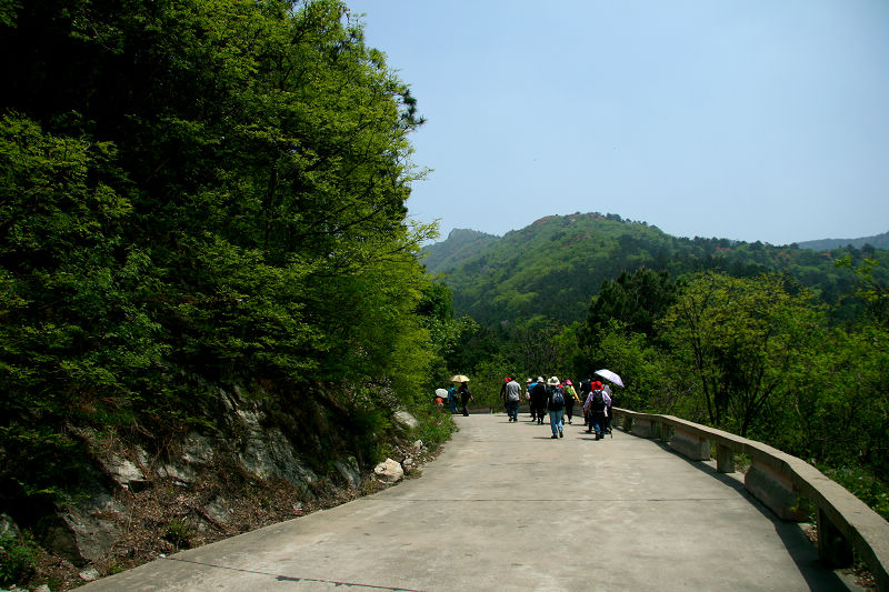 img_2635.jpg