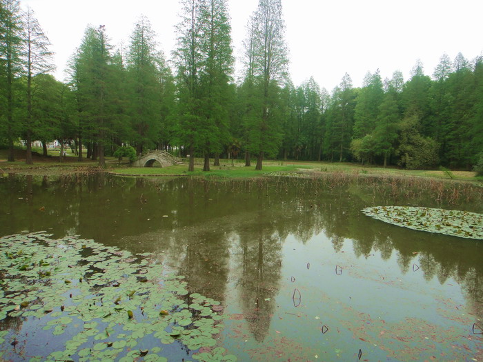 446-20.jpg