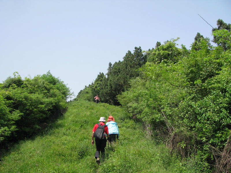 img_3921_СС.jpg