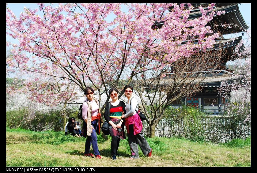 neo_img_ӣ԰ 058.jpg