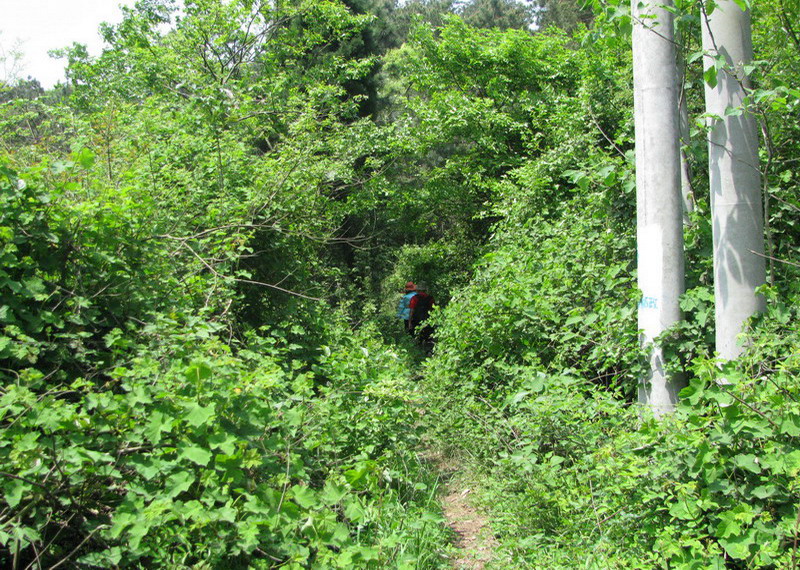 img_3922_СС.jpg