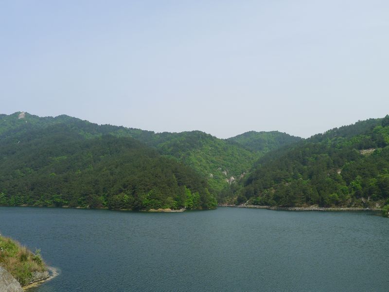 p1220751.jpg
