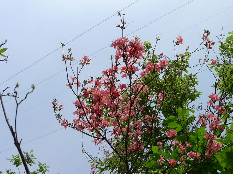 p1220760.jpg