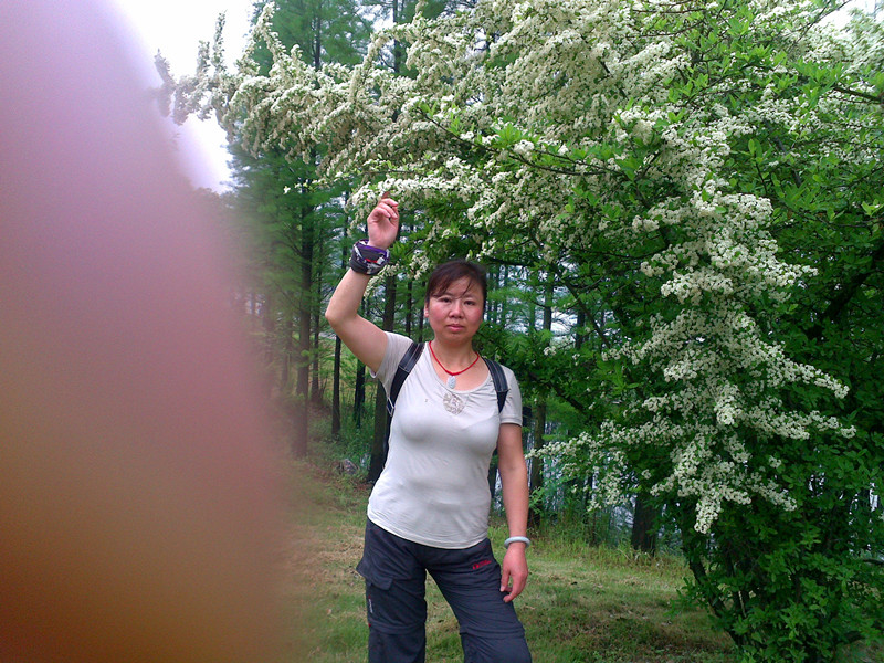 20120429291_.jpg