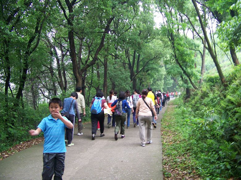 neo_img_100_6526.jpg