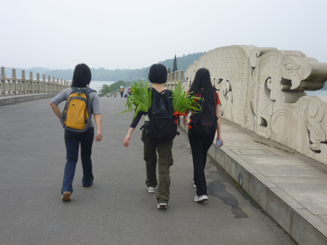 p1020632.jpg