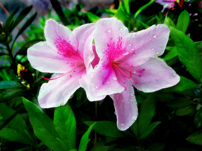 dscn483900.jpg