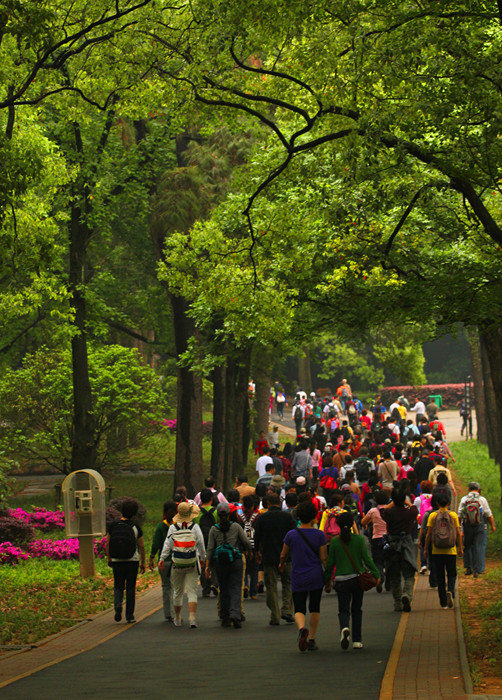201204297.jpg