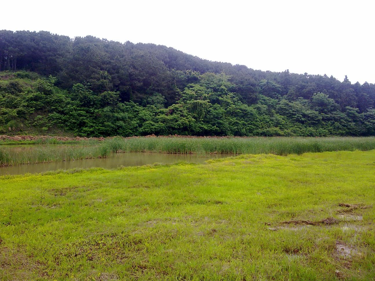 201204301697.jpg