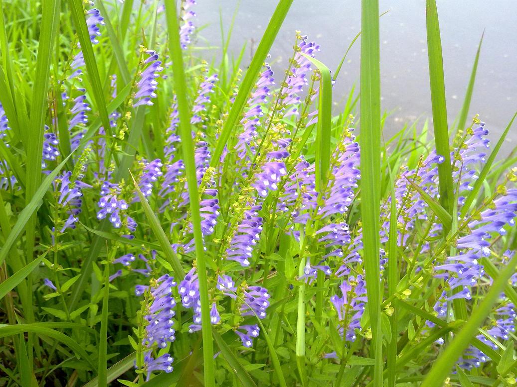 201204301728.jpg