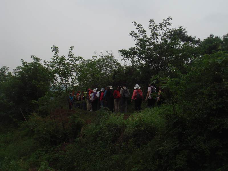 dsc00001-1.jpg