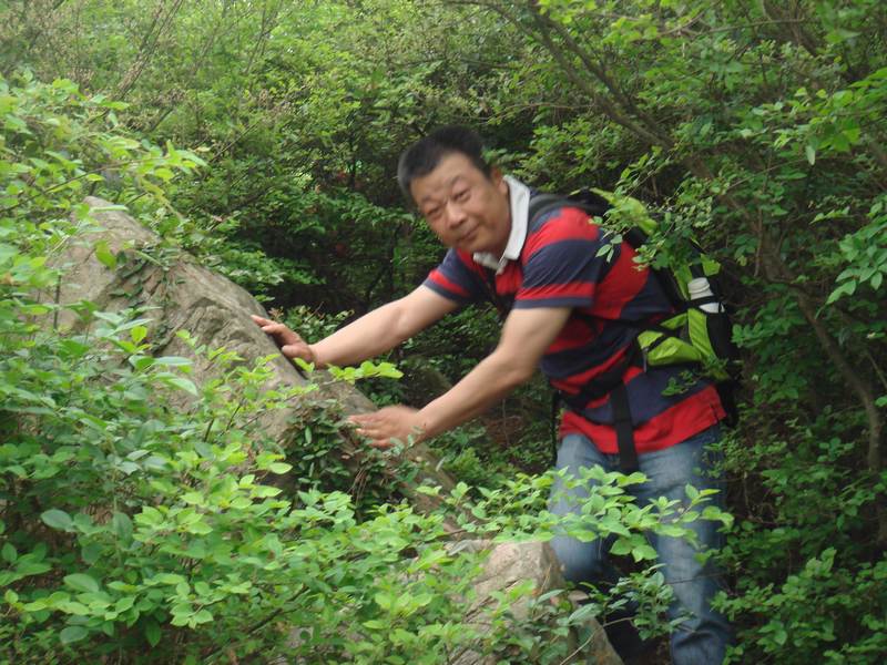 dsc00030-12.jpg