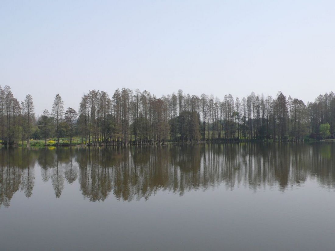l1120264.jpg
