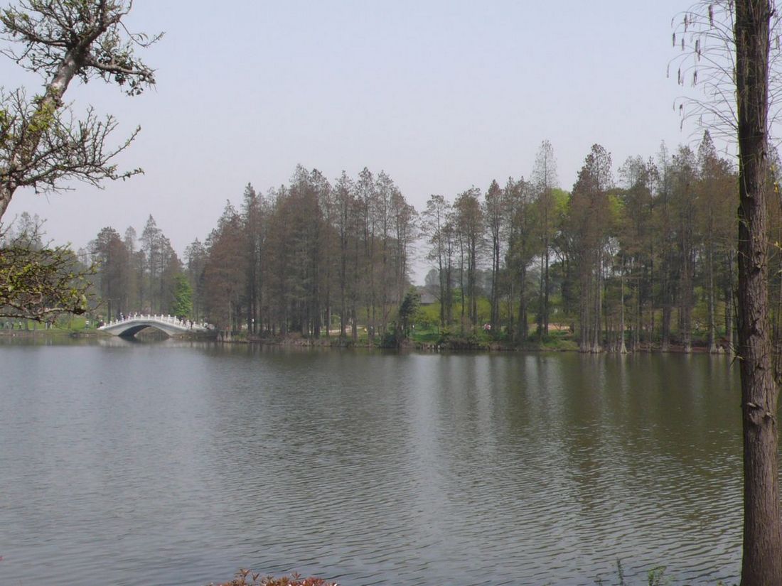l1120266.jpg