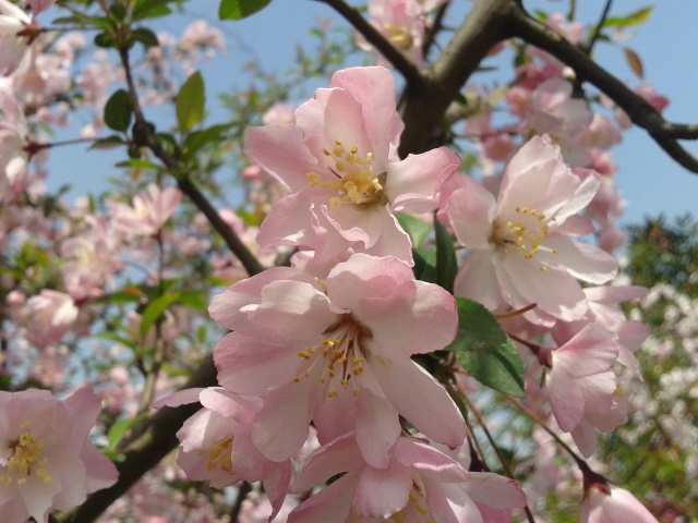2012-04-03 10.59.22.jpg