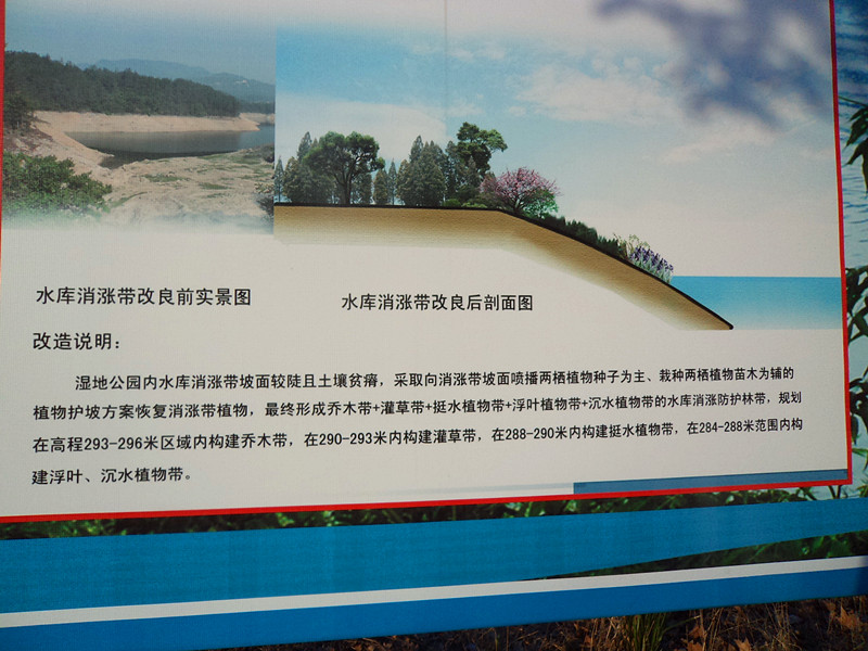 dsc00678_01.jpg