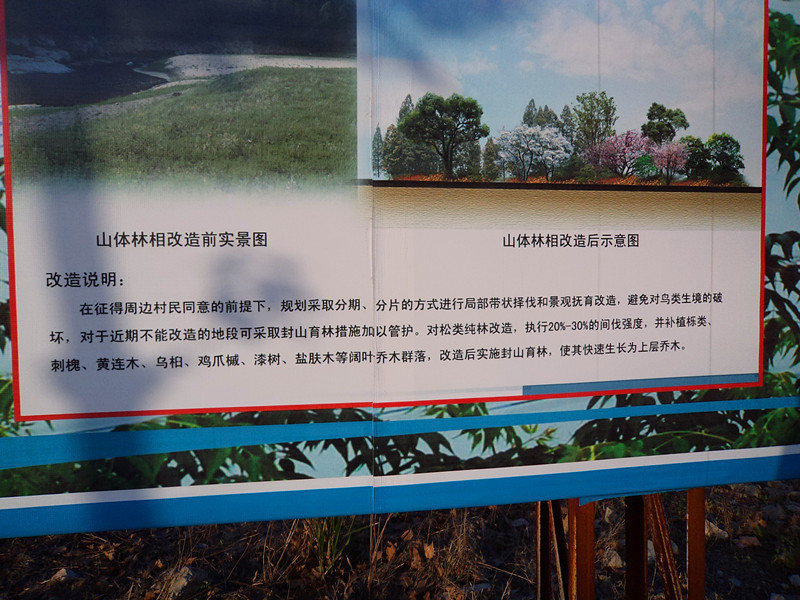 dsc00679_02.jpg