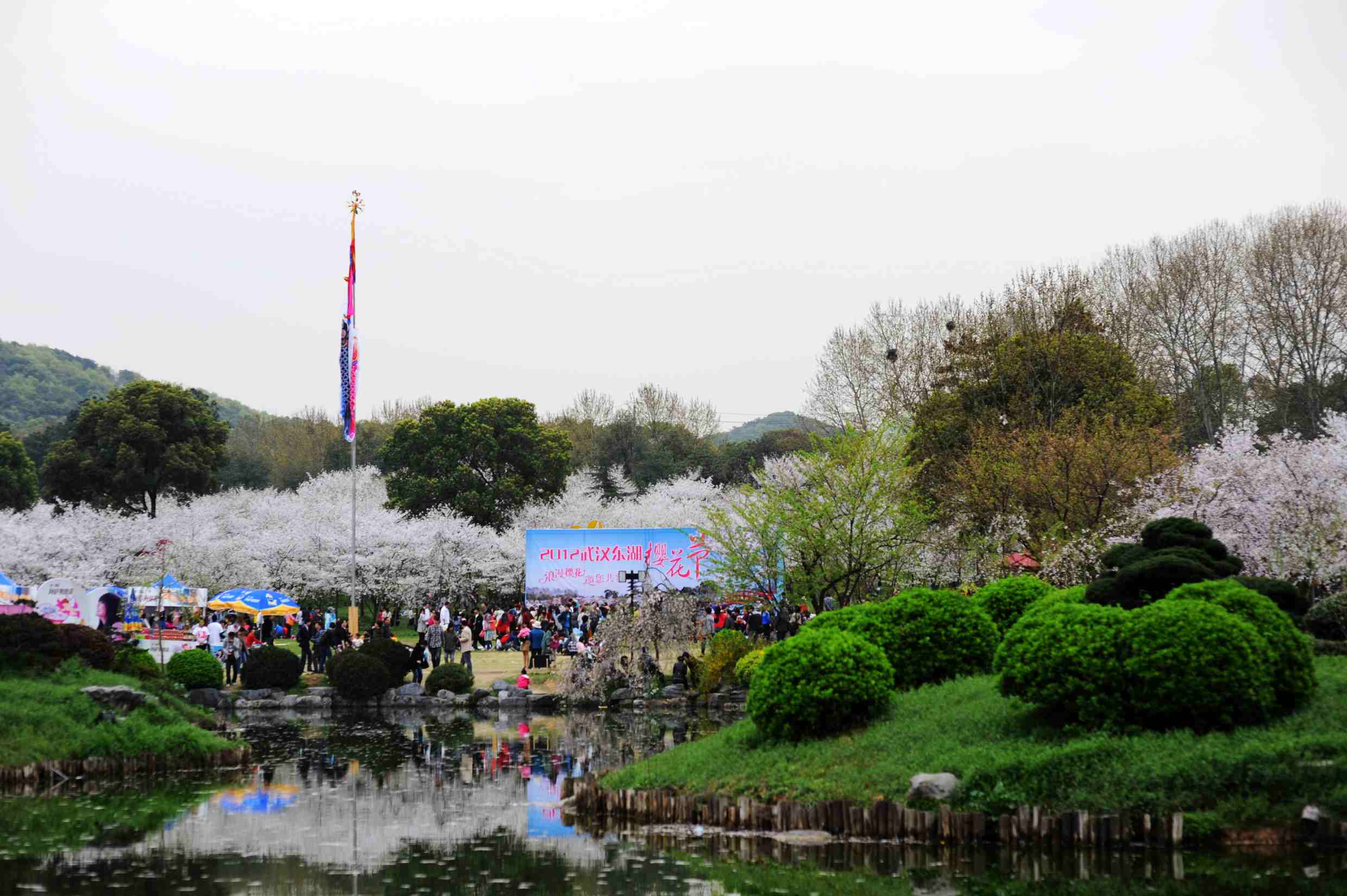 dsc_4929.jpg